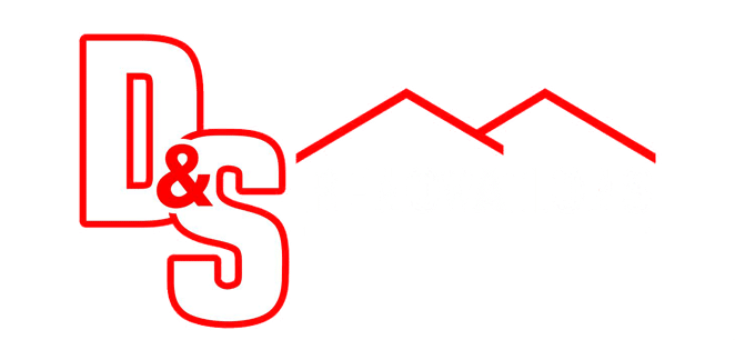 ds-logo-transparent